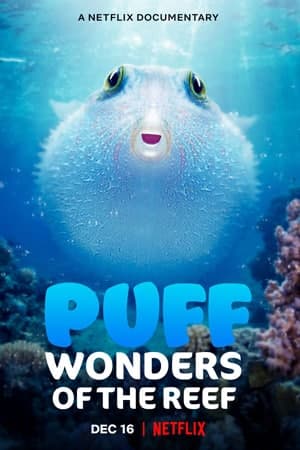 Download Puff: Wonders of the Reef (2021) Dual Audio {Hindi-English} Movie 480p | 720p | 1080p WEB-DL